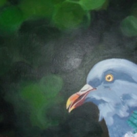 Pigeon (from a photo by Rob Gunby). Acrylic on canvas board.